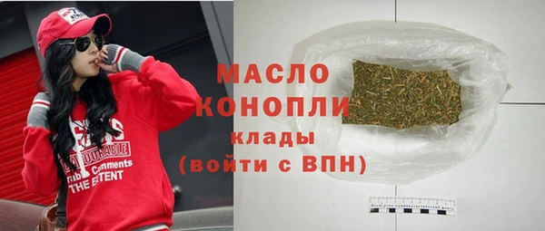 индика Абинск