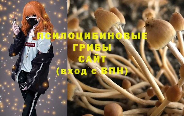 индика Абинск