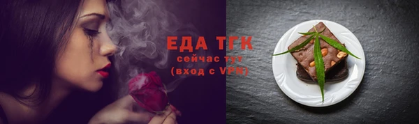индика Абинск