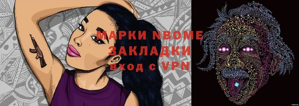индика Абинск