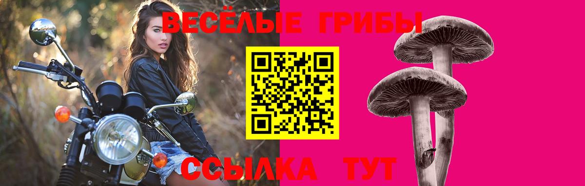 Галлюциногенные грибы ЛСД Истра