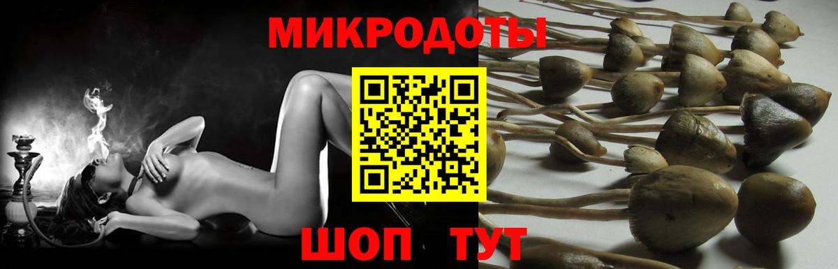 Псилоцибиновые грибы мухоморы  Вход с VPN  Галлюциногенные грибы мухоморы  Истра 